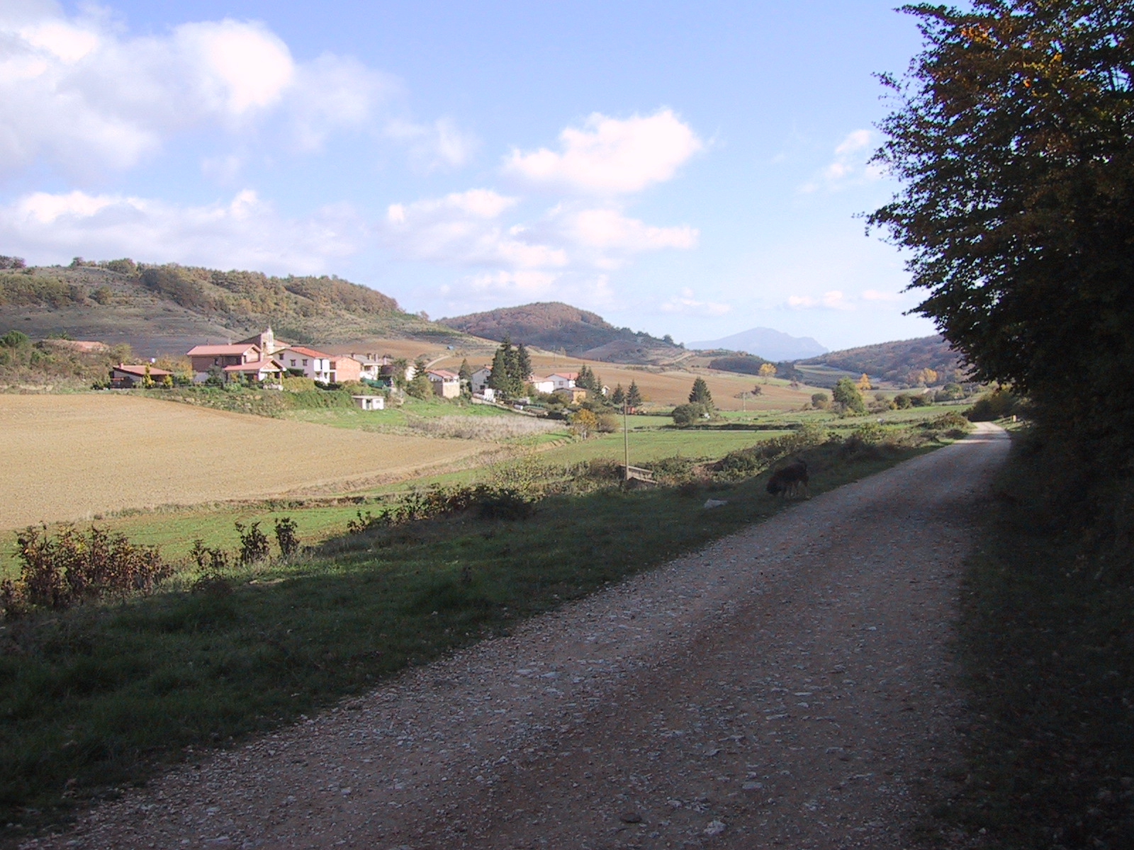 Bajauri Paisaje de Primavera