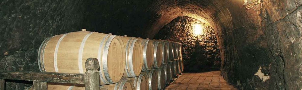 Bodega sagardotegi-bajauri