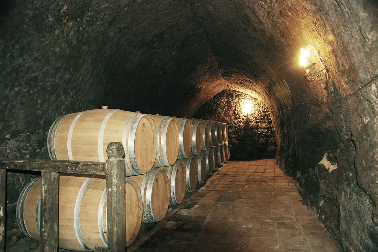 Bodega sagardotegi-bajauri