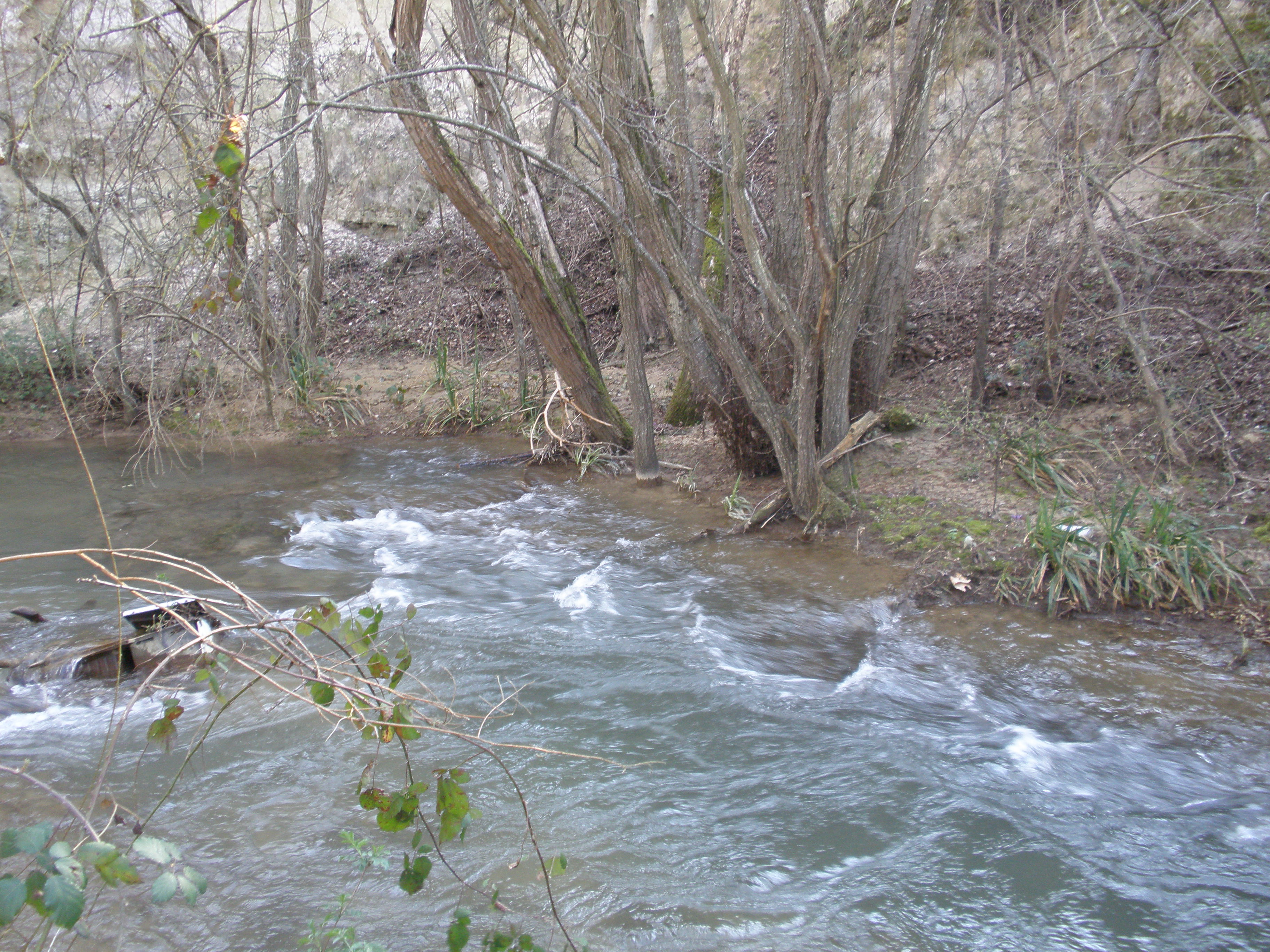 Arroyo de la Fuente Sauces